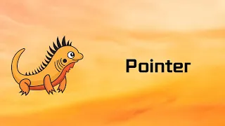 Zig Pointer Tutorial 11
