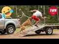 Download Lagu Funny \u0026 Hilarious People Life 😆 #483 | TRY NOT TO LAUGH CHALLENGE 😂 | Funny Videos Compilation 2025