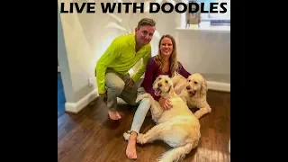 Live Chat with Sailing Doodles