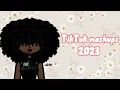 TikTok mashup 2023