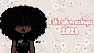 TikTok mashup 2023