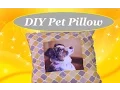 DIY Picture Pillow How to Sew a Pillow The Rachel Dixon Sewing Tutorial Dog Pet