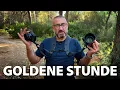 Download Lagu Goldene Stunde im Wald fotografieren (mit Verlosung)