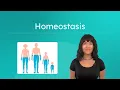 Homeostasis - Keeping the Body in Balance