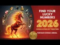 Find Your Lucky Numbers in 2026 Year of the Fire Horse
