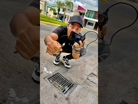 Esto encontré en la alcantarilla con una cámara