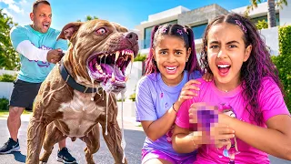 UM CACHORRO MORDEU A SOPHIA !