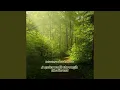 Tranquility Path