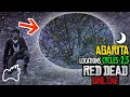 RED DEAD ONLINE AGARITA Cycles 2 5 Locations Collector Guide Wild Flowers Collection
