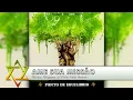 Ponto de Equilíbrio - Ame Sua Missão