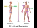 Lab Practical 1 Review