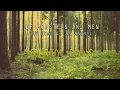 Dirty Paws - Of Monsters and Men