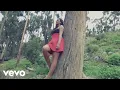 Download Lagu AndeSur - Mix Caporales 6 en 1