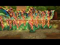 Wizard101 Ultra Snap Dragon Mature Harvest