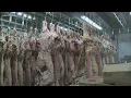 Boone s Butcher shop in Bardstown booming amid food supply concerns