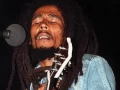 Download Lagu Bob Marley - Concrete Jungle, Live Boston '78