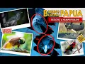 Download Lagu PAPUA, SURGA NYA FAUNA EKSOTIK INDONESIA