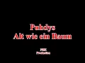 Puhdys - Alt wie ein Baum(Lyrics)