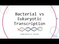 Bacterial vs Eukaryotic Transcription