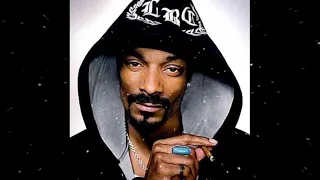 snoop dogg turn me on feat chris brown audio song xok