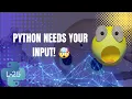 How Python Takes User Input input Function Explained