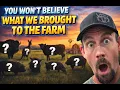 What an Insane Day at the Alternative Animal Auction