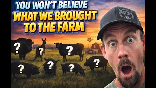 What an Insane Day at the Alternative Animal Auction