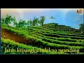 Download Lagu Jogja hip hop foundation// suwukan jaran kepang + lirik