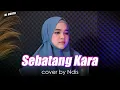 Download Lagu SEBATANG KARA - COVER BY NDIS