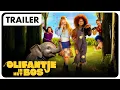 Download Lagu Olifantje in het Bos trailer (2025) | Nu in de bioscoop