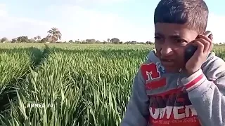 تعبت فقمت كلمته مانا بنته 