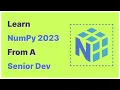 Learn NumPy 2023 From A Senior Developer Course