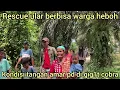 Download Lagu RESCUE ULAR BERBISA DI DESA TERJADI LAGI PULUHAN WARGA SAMPAI BERKUMPUL