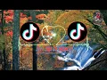DJ Jar Of Hearts TikTok - and who do you think you are Terbaru full bass 2021