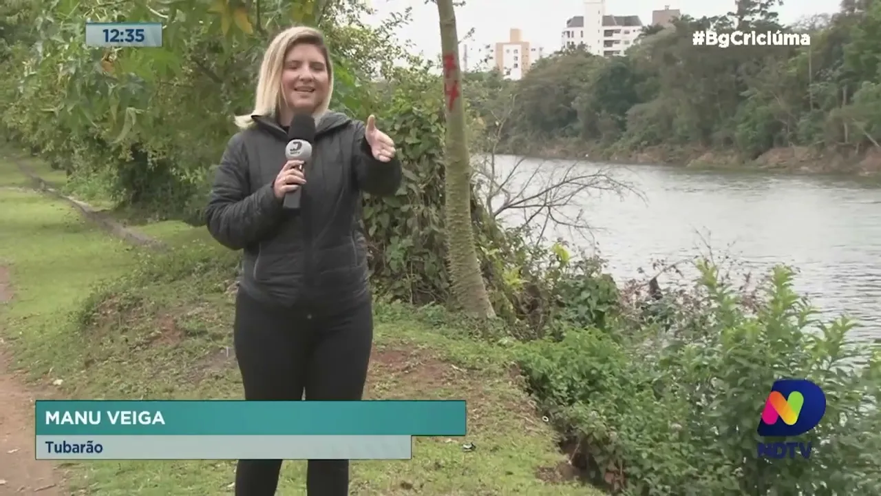 Tubarão quer remover quase 600 árvores à beira-rio por risco de queda