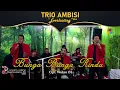 Download Lagu BUNGA BUNGA RINDU - TRIO AMBISI 'Everlasting 40th'