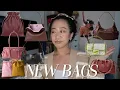 Lagu NEW BAGS ep. 30 ✨ Casa Loewe Ginza Collection, Fendi SS26, Prada, Balenciaga \u0026 More!