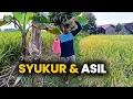 Lagu Ngarit Ning Sawah - Asil Ora Ngapusi Usaha | Hard Work Never Lies Ep.5 Final