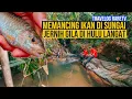 Download Lagu Memancing ikan di Sungai Jernih Hulu Langat lagi cantik dari BALI!