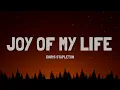 Chris Stapleton - Joy of My Life (Lyrics)