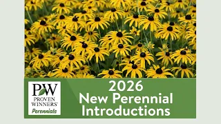 Announcing Proven Winners New Lineup of 2026 Perennials
