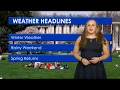 Alex Schneider weather forecast