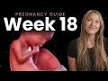 18 Weeks Pregnant Week By Week Pregnancy
