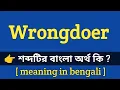 Wrongdoer Meaning in Bengali With Example Wrongdoer