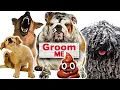 DOG GROOMING COST and EXTRA CHARGES YOU can expect to PAY