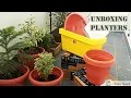 Planters for gardening l Unboxing Gardening Pots from Amazon l Plastic Garden Pots l Grow bags