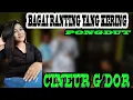 BAGAI RANTING YANG KERING || PONGDUT BAJIDOR || CINEUR G'DOR || EDISI LATIHAN