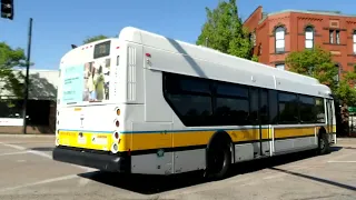 MBTA 71 Bus