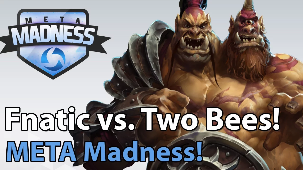 ► META Madness: Fnatic vs. Two Bees Determined - Heroes of the Storm