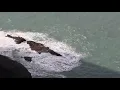 Ted Jasper - Back For More (Official Video)
